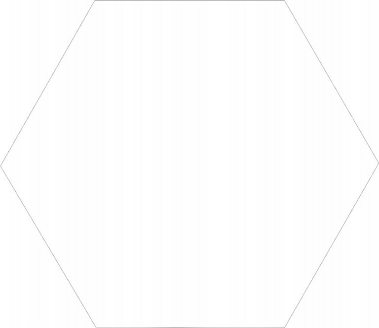 Gres Heksagonalny Solid White 21,5x25 (1)