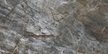 Cerrad La Mania Brazilian Quartzite Black Poler 60x120 (4)