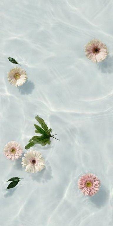 Paper41 Lux Louis 60x120-płytki z kwiatami w wodzie (1)