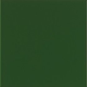 Płytki Verde Brillo 20x20