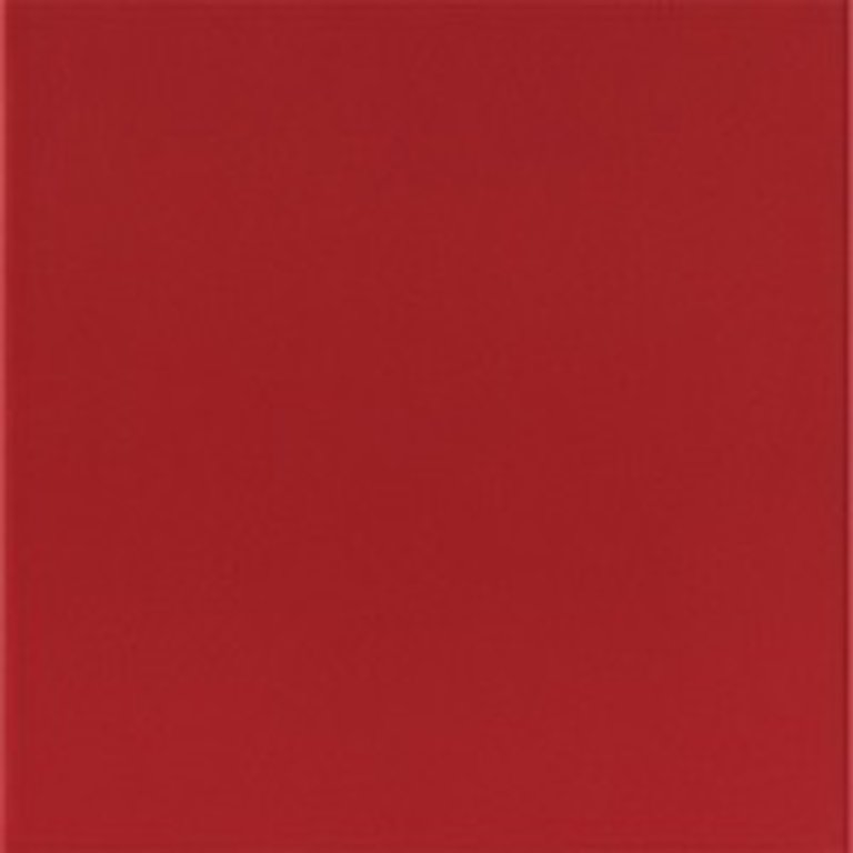 Płytki Rojo Brillo 20x20 (1)
