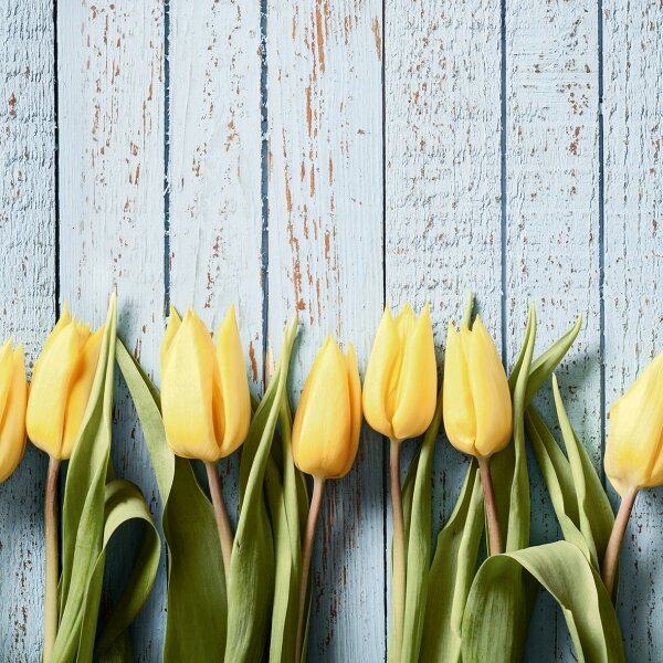 dekor_szklany_zółte_tulipany