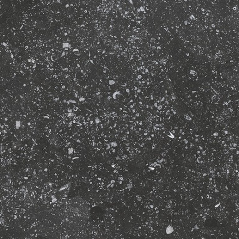 Płytki Coralstone Black 20x20 (1)