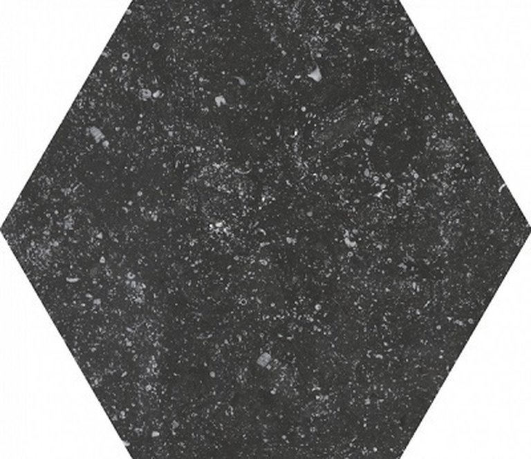 Płytki Coralstone Black 29,2x25,4 (1)